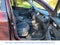 2019 Kia Sorento S